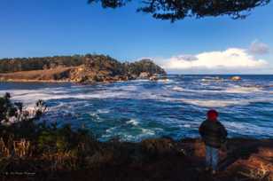 Point Lobos-1819.jpg